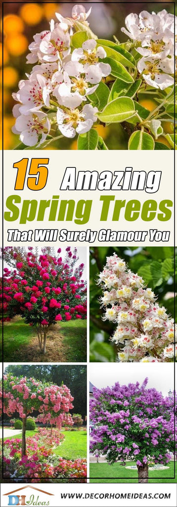 15 Amazing Spring Trees That Will Surely Glamour You - Astarin Chimes